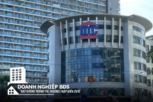 DIC Group và thăng trầm sau cổ phần hóa