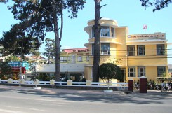 Chân dung doanh nghiệp địa ốc trên sàn bị ngân hàng siết nợ