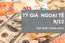 Tỷ giá ngoại tệ hôm nay 9/12: Giảm tại hầu hết ngân hàng