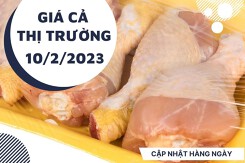 Giá cả thị trường hôm nay 10/2/2023: Giá thịt gà các loại đồng loạt ổn định tại siêu thị