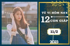 Tử vi hàng ngày hôm nay của 12 con giáp 11/2/2023: Thìn tài lộc khởi sắc, Tuất tình duyên tiến triển