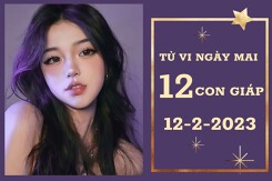 Tử vi ngày mai của 12 con giáp 12/2/2023: Tý tài lộc ổn định, Thân bế tắc trong công việc
