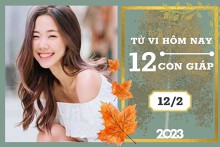 Tử vi hàng ngày hôm nay của 12 con giáp 12/2/2023: Tỵ tài lộc tích cực, Hợi tình duyên căng thẳng