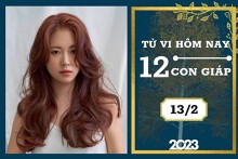 Tử vi hàng ngày hôm nay của 12 con giáp 13/2/2023: Ngọ tài lộc không khả quan, Hợi tình duyên hạnh phúc