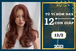 Tử vi hàng ngày hôm nay của 12 con giáp 13/2/2023: Ngọ tài lộc không khả quan, Hợi tình duyên hạnh phúc