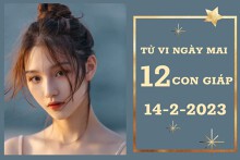 Tử vi ngày mai của 12 con giáp 14/2/2023: Tỵ tài lộc vô lo, Hợi sự nghiệp suôn sẻ