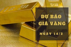 Dự báo giá vàng 14/2: Có thể giảm nhẹ theo thị trường thế giới?