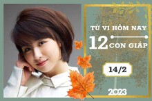 Tử vi hàng ngày hôm nay của 12 con giáp 14/2/2023: Mùi tài lộc hao hụt, Tý tình duyên nở hoa
