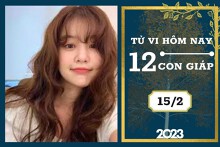 Tử vi hàng ngày hôm nay của 12 con giáp 15/2/2023: Thân tài lộc dư dả, Sửu tình duyên không vui vẻ