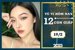 Tử vi hàng ngày hôm nay của 12 con giáp 19/2/2023: Tý tài lộc trầm lắng, Ngọ tình duyên nở hoa