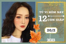 Tử vi hàng ngày hôm nay của 12 con giáp 20/2/2023: Sửu tài lộc ổn định, Mùi tình duyên ngọt ngào
