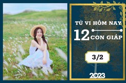 Tử vi hàng ngày hôm nay của 12 con giáp 3/2/2023: Dần tài lộc khởi sắc, Tỵ tình duyên không vui vẻ