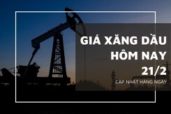 Giá xăng dầu hôm nay 21/2: Tăng nhẹ trở lại không quá 1%