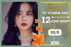 Tử vi hàng ngày hôm nay của 12 con giáp 22/2/2023: Mão tài lộc vững chắc, Dậu tình duyên bình hòa
