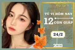 Tử vi hàng ngày hôm nay của 12 con giáp 24/2/2023: Tỵ tài lộc thịnh vượng, Hợi tình duyên an yên