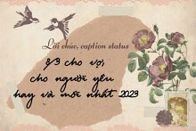 50 lời chúc, caption status 8/3 cho vợ, cho người yêu hay và mới nhất 2023