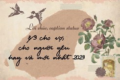 50 lời chúc, caption status 8/3 cho vợ, cho người yêu hay và mới nhất 2023