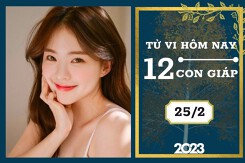 Tử vi hàng ngày hôm nay của 12 con giáp 25/2/2023: Tý tài lộc ổn định, Ngọ tình duyên trầm lắng