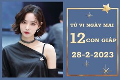 Tử vi ngày mai của 12 con giáp 28/2/2023: Thân tài lộc sa sút, Sửu công việc khả quan