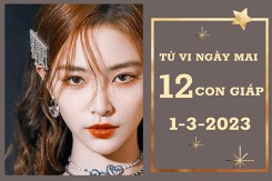 Tử vi ngày mai của 12 con giáp 1/3/2023: Thìn tài lộc khấm khá, Tý tình cảm hanh thông