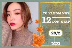 Tử vi hàng ngày hôm nay của 12 con giáp 28/2/2023: Mão tài lộc khởi sắc, Dậu tình duyên hòa hợp