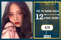 Tử vi hàng ngày hôm nay của 12 con giáp 1/3/2023: Thìn tài lộc biến chuyển tích cực, Tuất tình duyên ngọt ngào