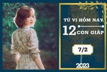 Tử vi hàng ngày hôm nay của 12 con giáp 7/2/2023: Ngọ tài lộc bình hòa, Tý tình duyên thăng hoa