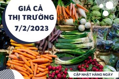 Giá cả thị trường hôm nay 7/2/2023: Siêu thị bán nhiều loại rau củ quả và trái cây tươi xanh