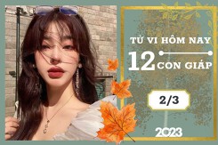 Tử vi hàng ngày hôm nay của 12 con giáp 2/3/2023: Tỵ tài lộc biến chuyển tích cực, Hợi tình duyên ngọt ngào