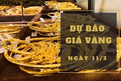 Dự báo giá vàng 11/3: Biến động nhẹ trong phiên cuối tuần?