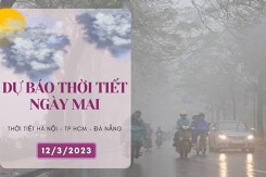 Dự báo thời tiết ngày mai 12/3/2023: Hà Nội có mưa, rét về đêm và sáng, Đà Nẵng mưa về đêm, TP HCM vẫn nắng