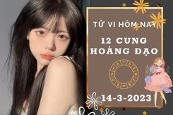 Tử vi hôm nay của 12 cung hoàng đạo ngày 14/3/2023: Bạch Dương tài lộc tốt đẹp, Bọ Cạp tình cảm trục trặc