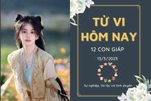 Tử vi hàng ngày hôm nay của 12 con giáp 13/3/2023: Dậu sự nghiệp tươi sáng, Tỵ quý nhân phù trợ
