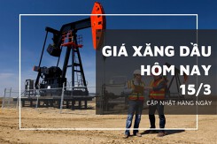 Giá xăng dầu hôm nay 15/3: Tiếp đà đi xuống, giá dầu giảm gần 2%