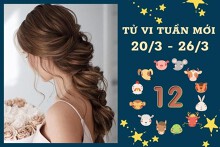 Tử vi tuần mới của 12 con giáp từ 20/3 đến 26/3: Tý tài lộc khởi sắc, Thân sự nghiệp gặp may mắn