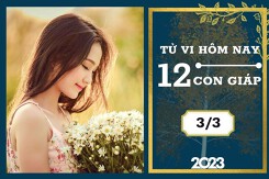 Tử vi hàng ngày hôm nay của 12 con giáp 3/3/2023: Ngọ tài lộc khởi sắc, Tý tình duyên êm ấm