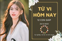Tử vi hàng ngày hôm nay của 12 con giáp 20/3/2023: Tỵ công việc suôn sẻ, Thìn tài lộc tăng tiến