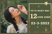 Tử vi ngày mai của 12 con giáp 23/3/2023: Tỵ tài lộc khởi sắc, Mùi tình yêu đẹp đẽ