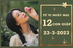 Tử vi ngày mai của 12 con giáp 23/3/2023: Tỵ tài lộc khởi sắc, Mùi tình yêu đẹp đẽ