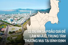 [Infographic] 11 dự án sắp đấu giá để làm nhà ở, trung tâm thương mại tại Bình Định