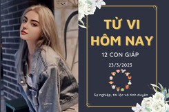 Tử vi hàng ngày hôm nay của 12 con giáp 23/3/2023: Mão cẩn thận kẻ thứ ba, Tý đón tin vui tài lộc