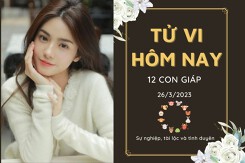 Tử vi hàng ngày hôm nay của 12 con giáp 26/3/2023: Tuất công việc thăng tiến, Mão có cơ may về tài lộc