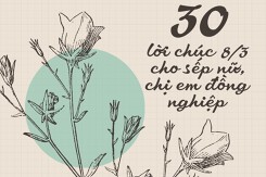 Top 30 lời chúc 8/3 cho sếp nữ, chị em đồng nghiệp hay, mới nhất 2023