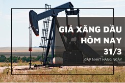 Giá xăng dầu hôm nay 31/3: Tiếp đà tăng tốc trên 1%