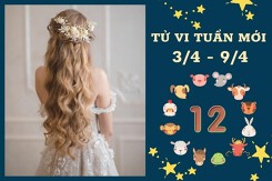 Tử vi tuần mới của 12 con giáp từ 3/4 đến 9/4: Mão tài lộc không đáng lo, Mùi công việc gặp trắc trở