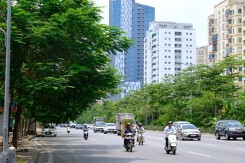 Dự báo thời tiết Hà Nội hôm nay 5/3: Sáng và đêm trời rét, trưa chiều nắng nhẹ
