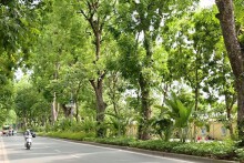 Dự báo thời tiết Hà Nội hôm nay 6/3: Sáng sớm có sương mù, trưa chiều hửng nắng, trời rét