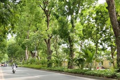 Dự báo thời tiết Hà Nội hôm nay 6/3: Sáng sớm có sương mù, trưa chiều hửng nắng, trời rét
