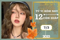 Tử vi hàng ngày hôm nay của 12 con giáp 7/3/2023: Tuất tài lộc dồi dào, Thìn tình duyên hạnh phúc