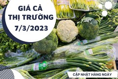 Giá cả thị trường hôm nay 7/3/2023: Rau tươi xanh có giá phải chăng tại Farmers' Market, Co.op Mart